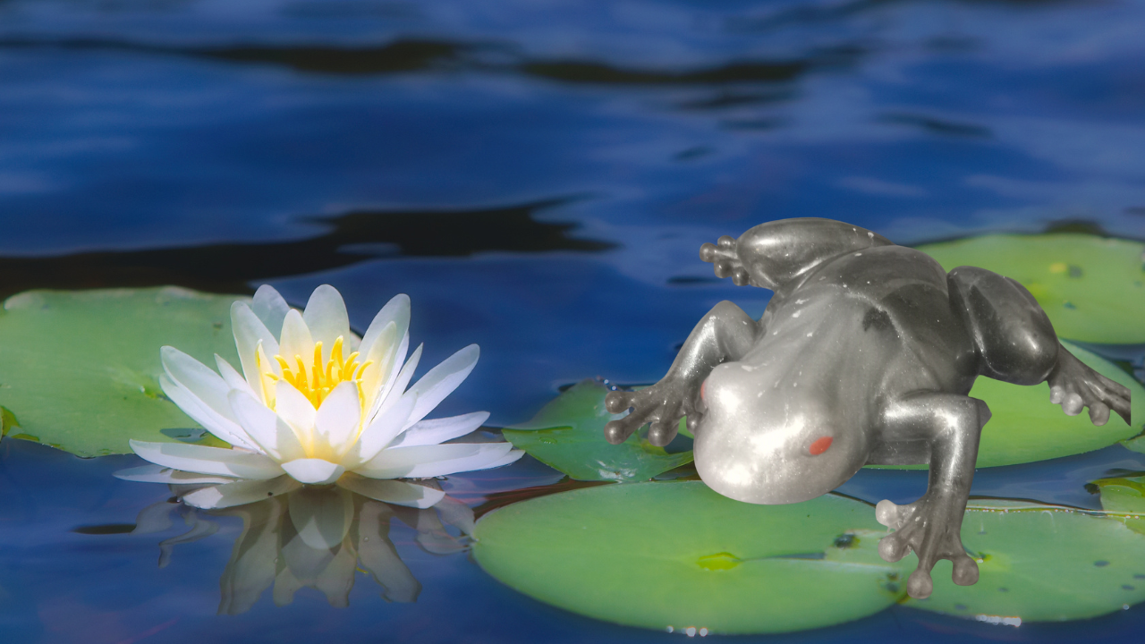 Resin 3D Dimensional Frogs