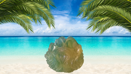 Resin Multicolored Wave Seashells