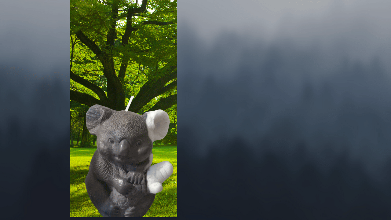 Unscented Cute Koala Candle