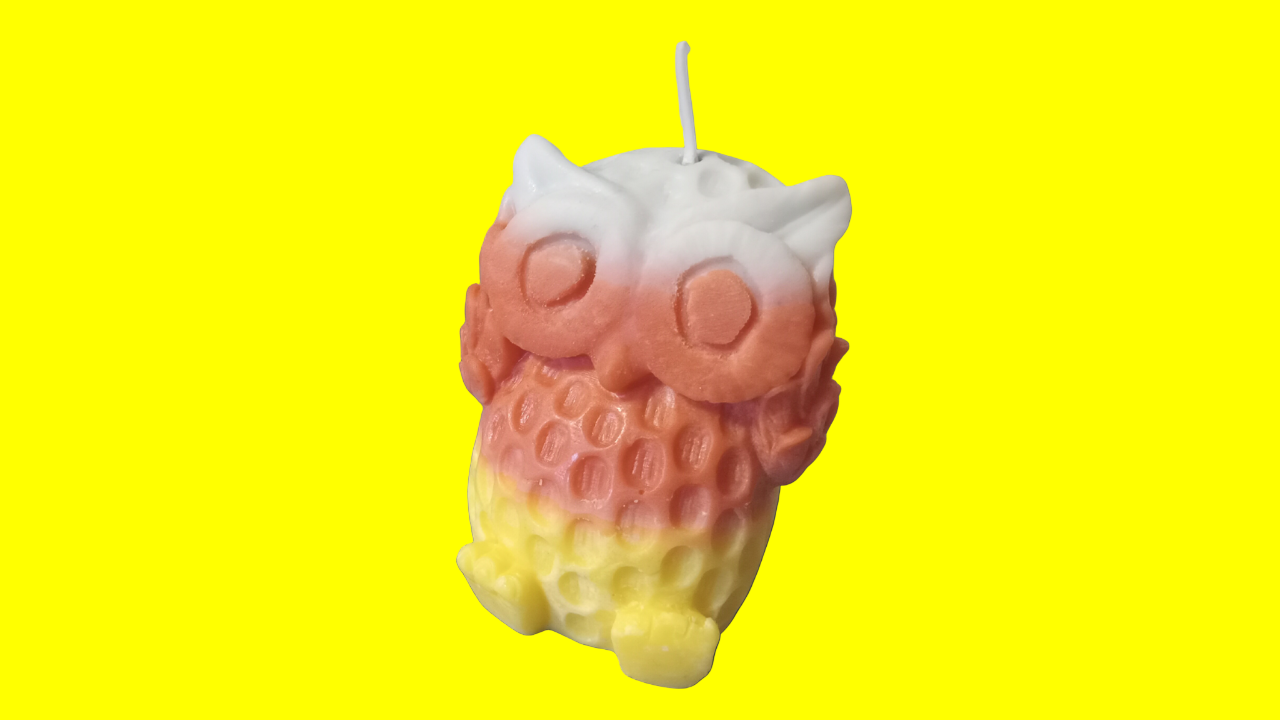 Unscented Multicolored Owl "Hoo" Candles