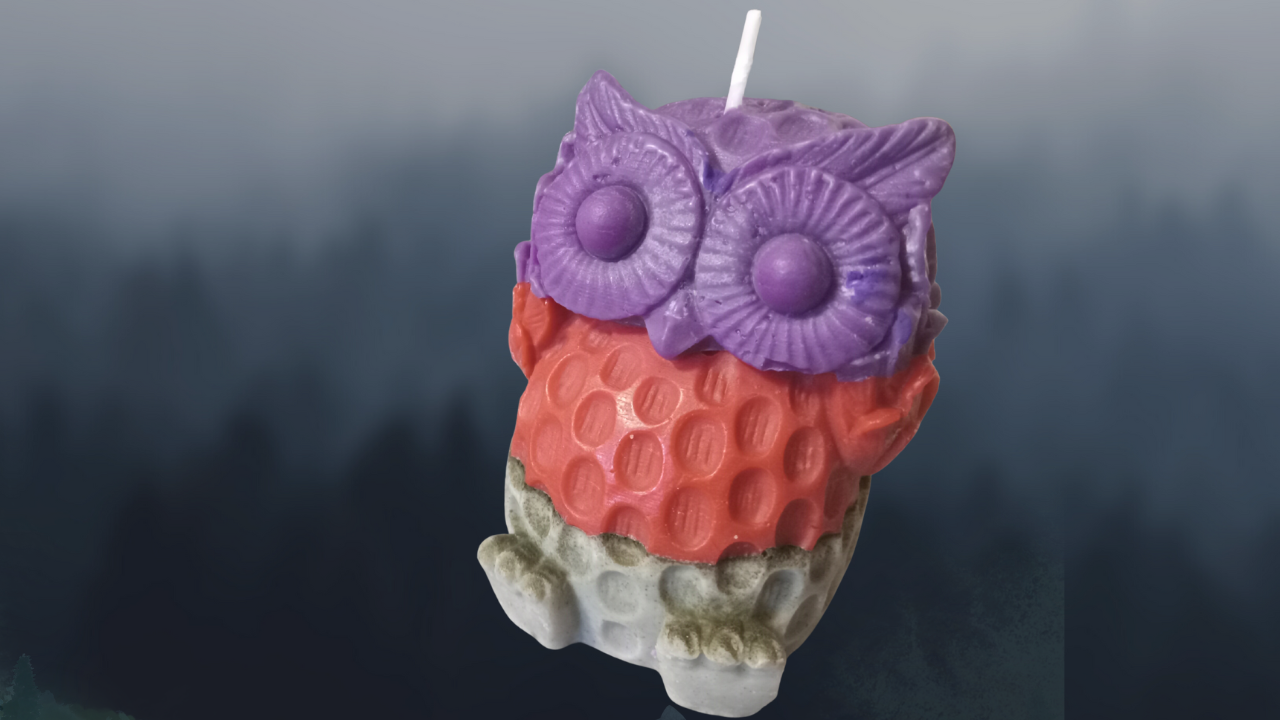Unscented Multicolored Owl "Hoo" Candles